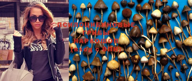 Какие есть наркотики Куйбышев MDMA  Псилоцибиновые грибы  МЕФ  КОКАИН 